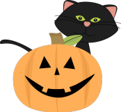 black cat and jack o lantern